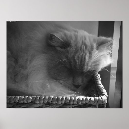 低速日、 ポスター (正面)