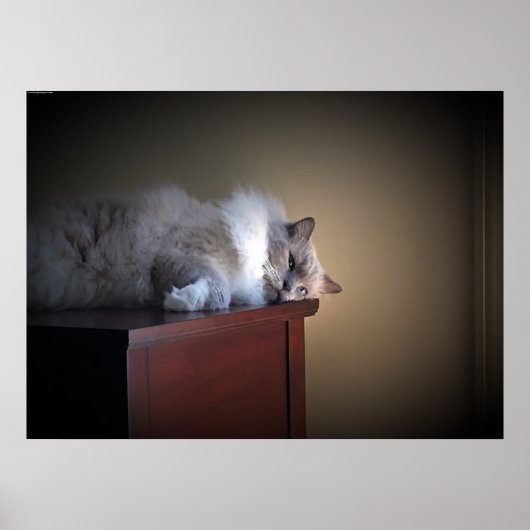 低速日、 ポスター (正面)