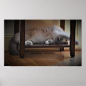 低速日、 ポスター (正面)