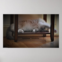 低速日、 ポスター