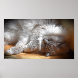 低速日、 ポスター