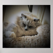 低速日、 ポスター (正面)