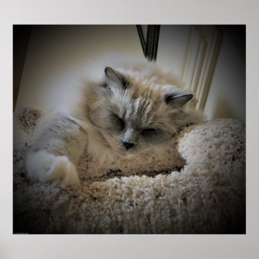 低速日、 ポスター (正面)