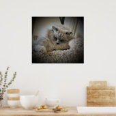 低速日、 ポスター (キッチン)