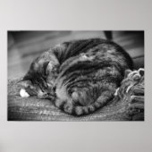 低速日、 ポスター (正面)