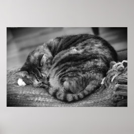 低速日、 ポスター