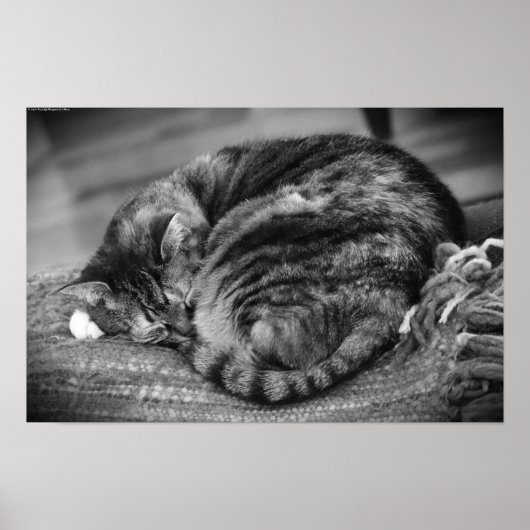 低速日、 ポスター (正面)