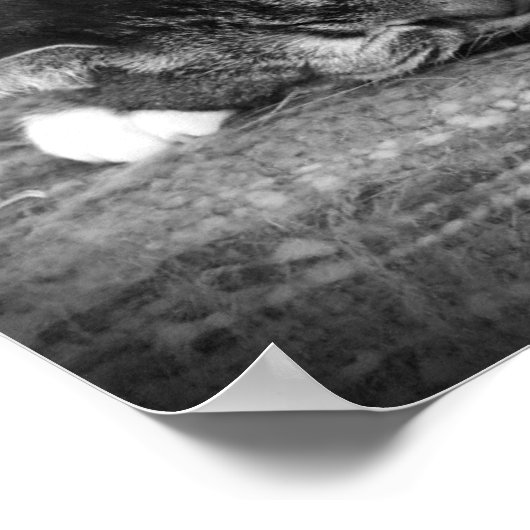 低速日、 ポスター (角)