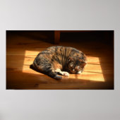 低速日、 ポスター (正面)