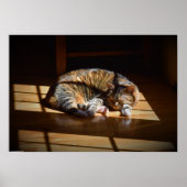 低速日、 ポスター (正面)