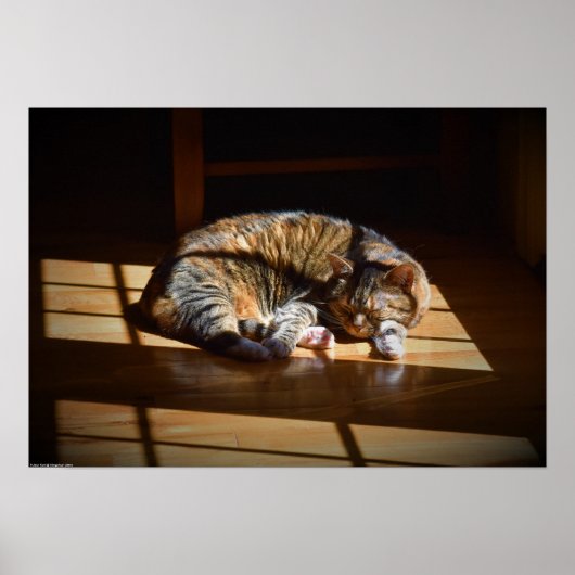 低速日、 ポスター (正面)