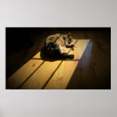 低速日、 ポスター (正面)