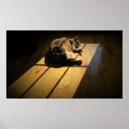 低速日、 ポスター