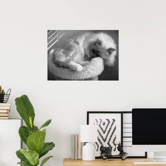 低速日、 ポスター (ホームオフィス)