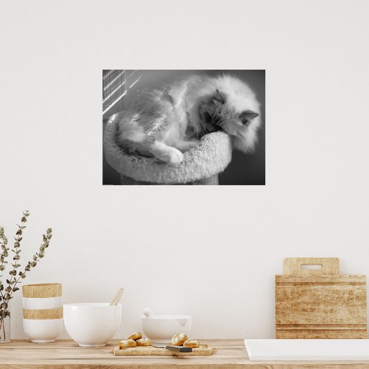 低速日、 ポスター (キッチン)