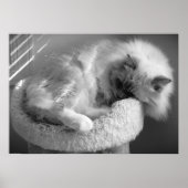 低速日、 ポスター (正面)