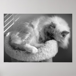 低速日、 ポスター