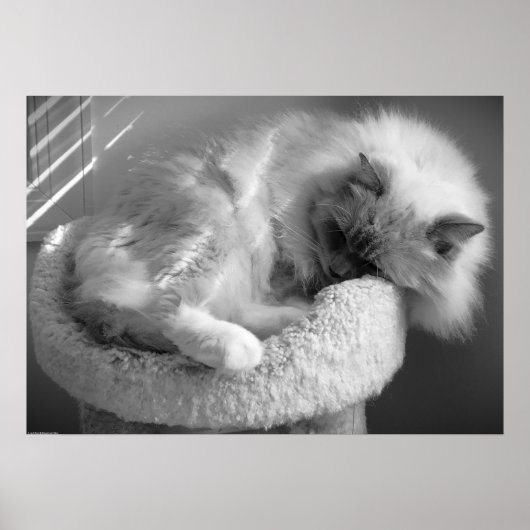 低速日、 ポスター (正面)