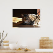 低速日、 ポスター (キッチン)