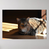 低速日、 ポスター (正面)