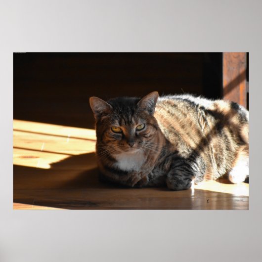 低速日、 ポスター (正面)