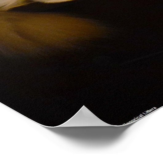 低速日、 ポスター (角)