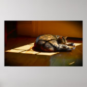 低速日、 ポスター (正面)