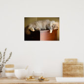 低速日、 ポスター (キッチン)