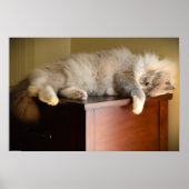 低速日、 ポスター (正面)