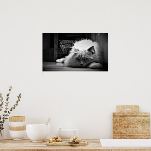 低速日、 ポスター (キッチン)