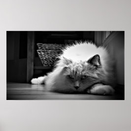 低速日、 ポスター