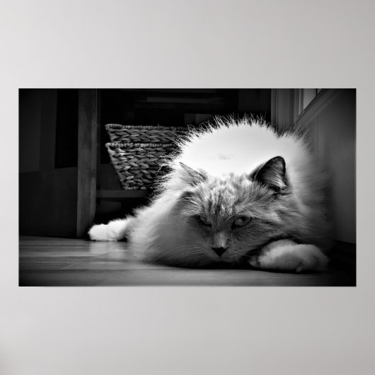 低速日、 ポスター (正面)