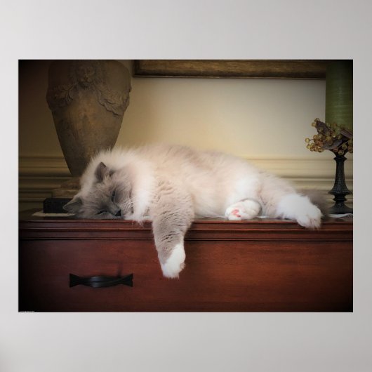 低速日、 ポスター (正面)