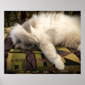 低速日、 ポスター (正面)