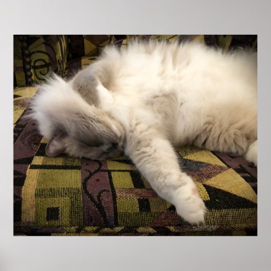 低速日、 ポスター (正面)