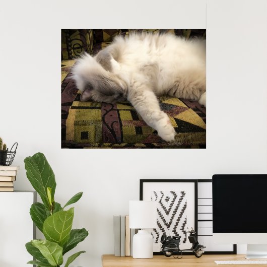 低速日、 ポスター (ホームオフィス)