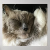 低速日、 ポスター (正面)