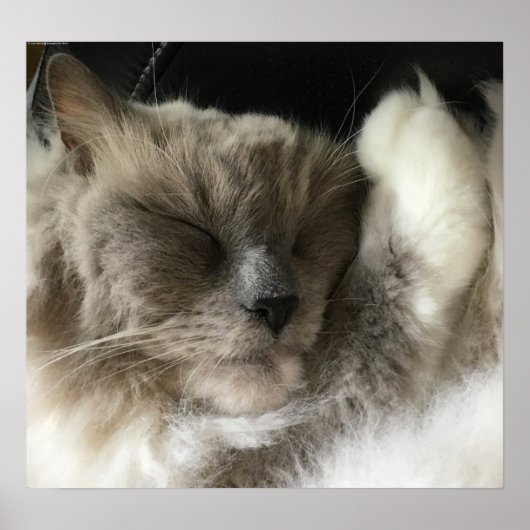 低速日、 ポスター (正面)