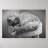 低速日、 ポスター (正面)