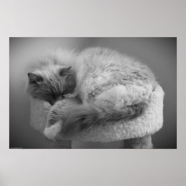 低速日、 ポスター