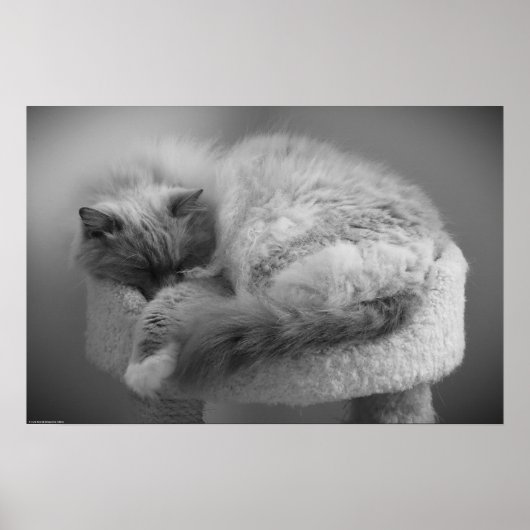 低速日、 ポスター (正面)