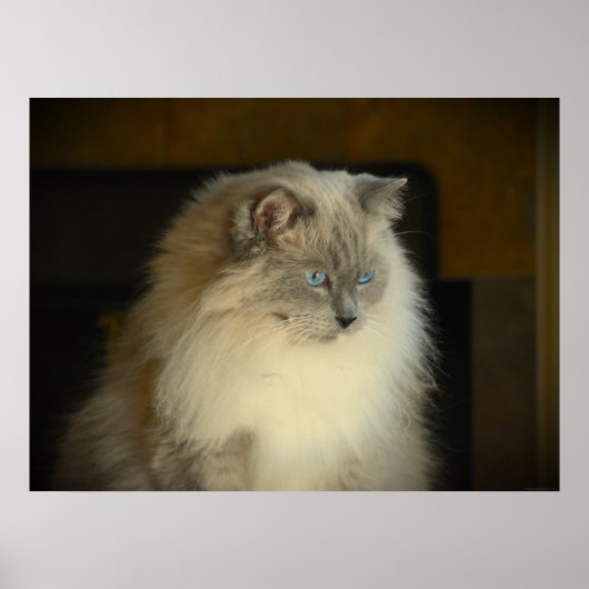 低速日、 ポスター (正面)