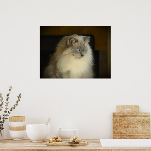 低速日、 ポスター (キッチン)