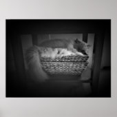 低速日、 ポスター (正面)