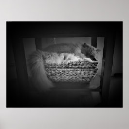 低速日、 ポスター