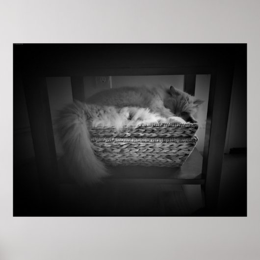 低速日、 ポスター (正面)