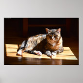 低速日、 ポスター (正面)