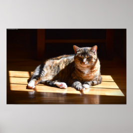 低速日、 ポスター