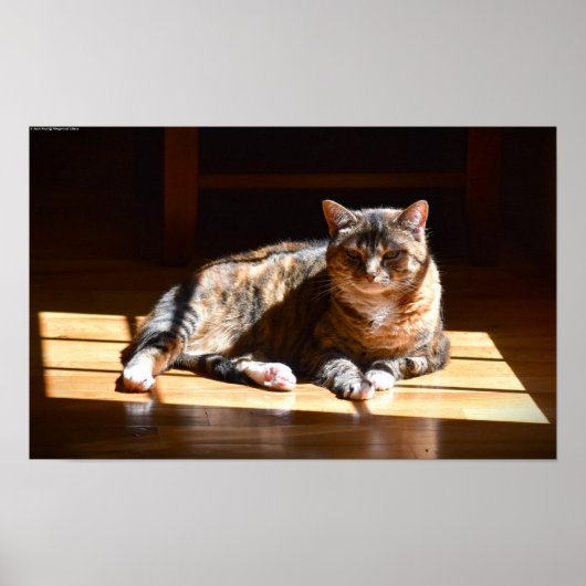 低速日、 ポスター (正面)