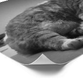 低速日、 ポスター (角)